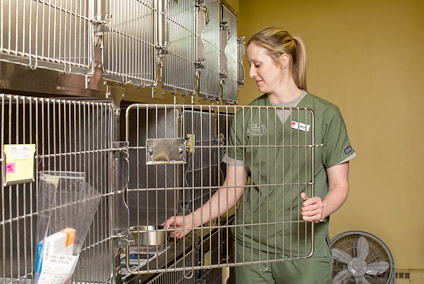 Animal Medical Center of Jefferson City