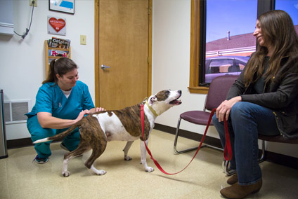 Animal Medical Center of Jefferson City