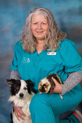 jefferson city veterinary