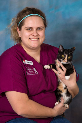 jefferson city veterinary