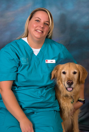 veterinary, jeff city