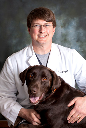 Jefferson City Veterinarians | Pet Doctors | Cole County, MO